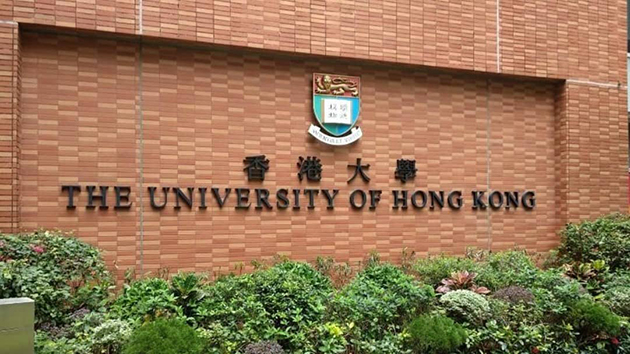 港大團隊研發無創微波高溫熱療方法 恢復抗生素治療大腸桿菌效果