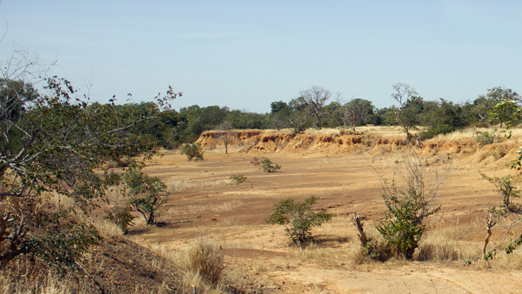 馬里中部發生襲擊事件致132人死亡