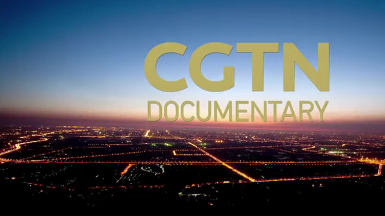 有片｜CGTN紀錄頻道和大灣區之聲頻率在港落地發布儀式24日舉行