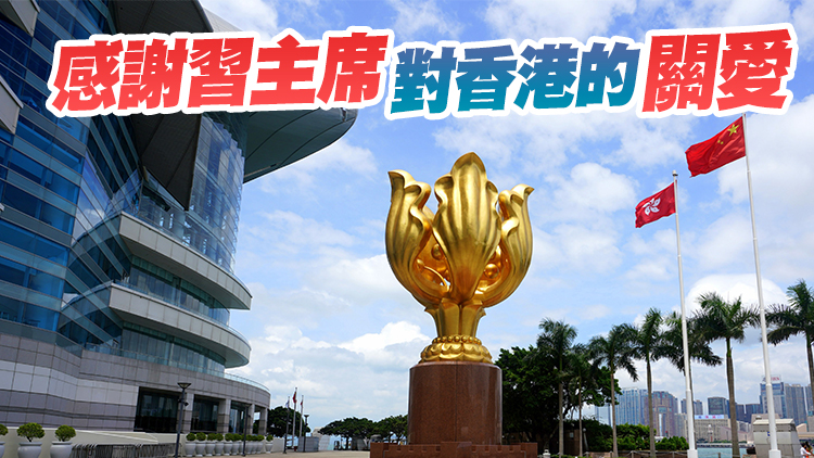 民建聯：習主席出席慶回歸大會必能鼓勵社會各界團結努力