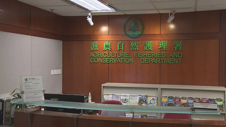 漁護署7月為出海作業狗隻注射狂犬病疫苗 每隻服務費80元