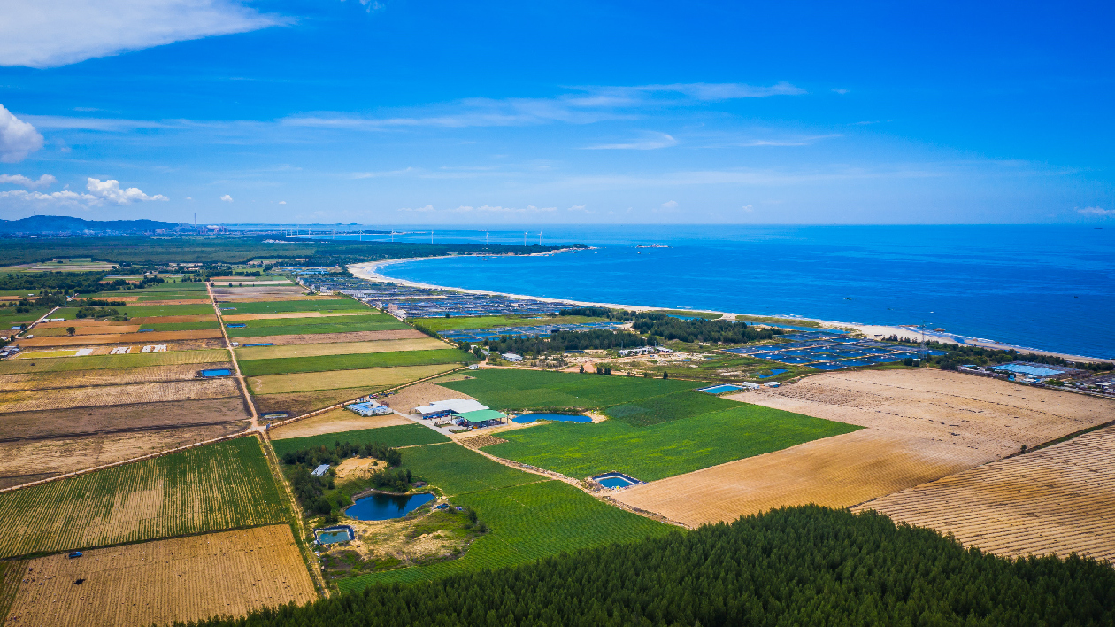 汕尾陸豐擬創建國家農業綠色發展先行區
