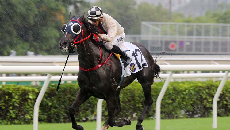 有片 | 峰爭韋小寶雨戰分奪錦標