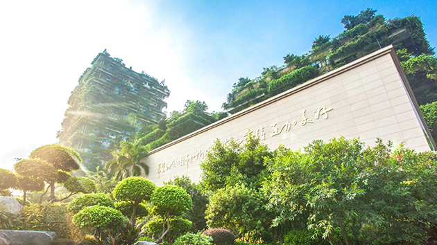 碧桂園上半年權益合同銷售額累計1851億元 行穩致遠展現企業韌性