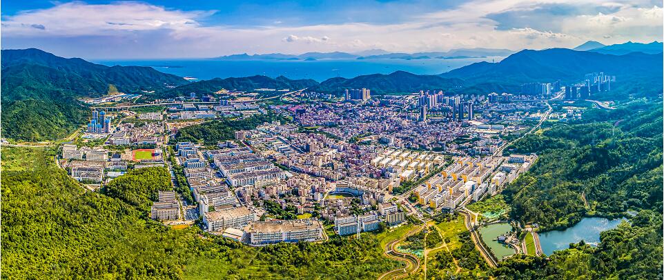 凝聚僑心僑力 深入推進葵港交流合作 深圳葵涌畫最大「同心圓」擘畫新發展