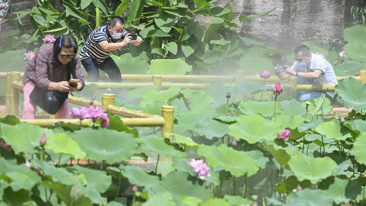 廣東居民人均預期壽命提高到79.31歲