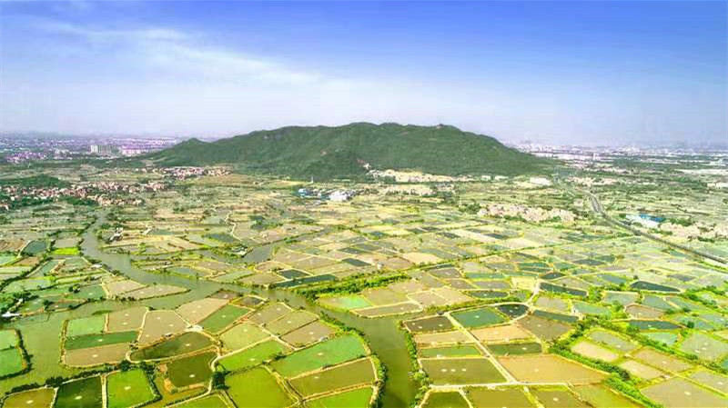 獎勵10億元！粵啟動十大鄉村振興示範帶創建工作