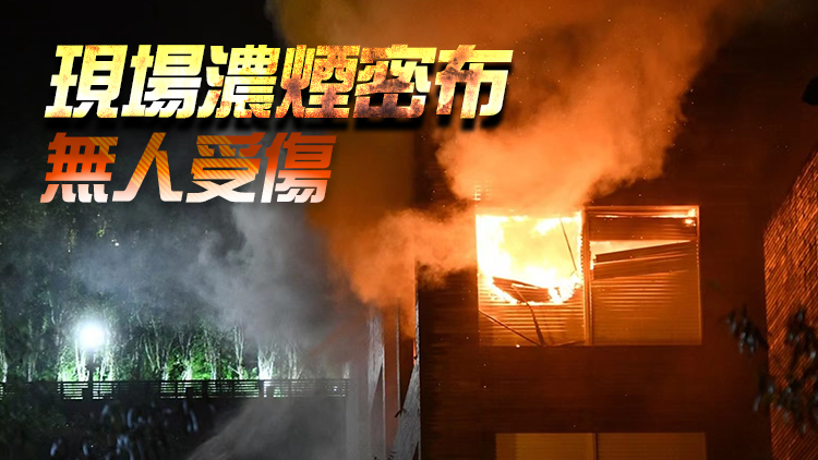 有片丨林青霞飛鵝山豪宅三級火 佔地5萬呎估值11億