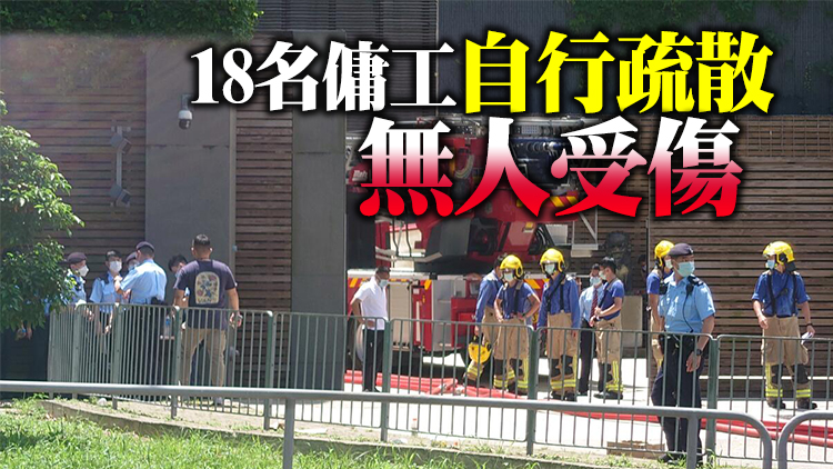 有片｜【追蹤報道】林青霞飛鵝山大宅3級火救熄  消防調查起火原因