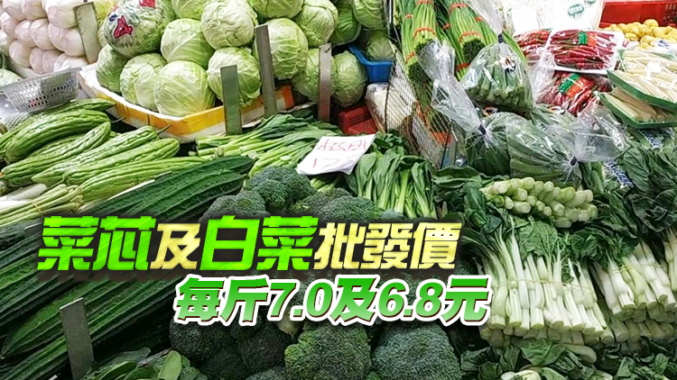 8日內地供港蔬菜逾2700公噸 鮮活食品供應充足穩定