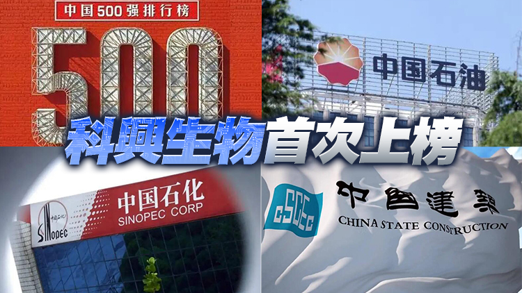 2022年財富中國500強 中石化居首 