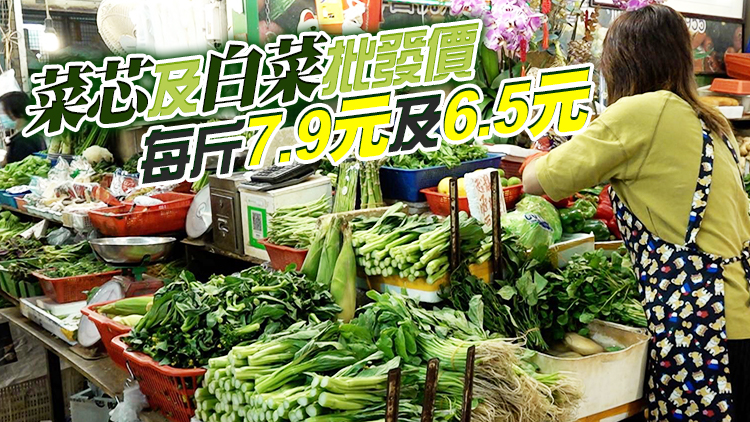12日內地供港蔬菜逾2700公噸 鮮活食品供應充足穩定