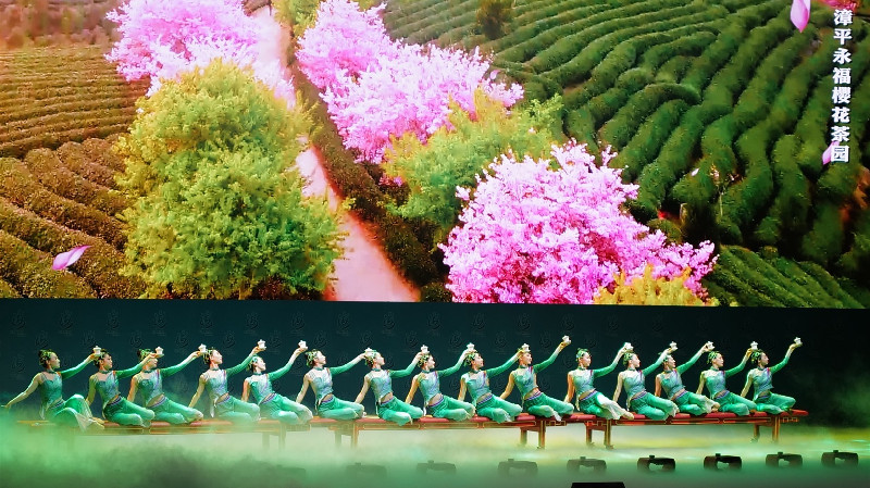 台胞發聲呼籲和平統一