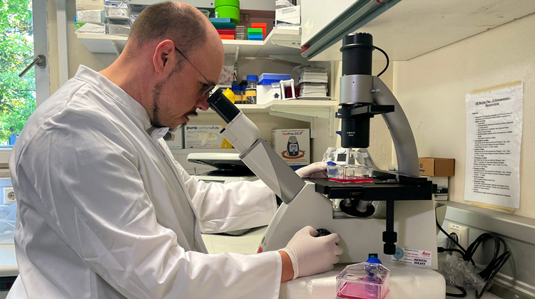 法國累計確診912例猴痘病例 衛生部門呼籲加速接種疫苗