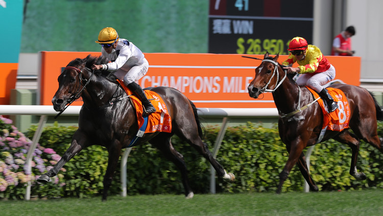有片丨浪漫勇士三料冠軍 金鎗六十蟬聯香港馬王