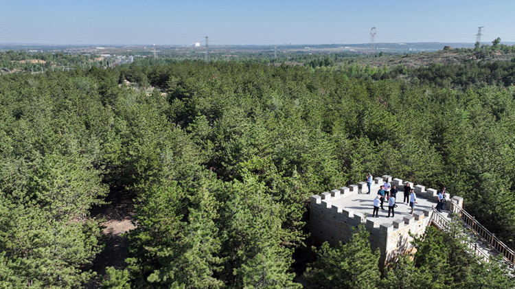 全國碳市場運行一年來累計成交量1.94億噸   成交金額84.92億元