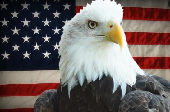 【名家指點】美國放棄「門羅政策」是自食其果