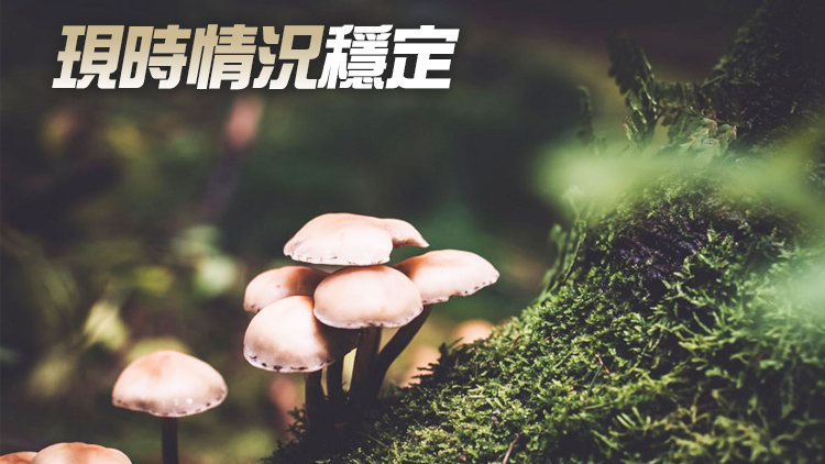 5名男女疑進食菇類後中毒 其中2人需入院治療