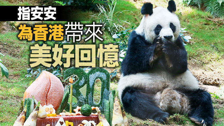 海洋公園主席：正與相關部門研究安安遺體及後事安排