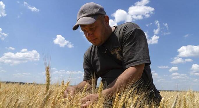 聯合國：烏克蘭首批穀物或在數日內離開黑海港口