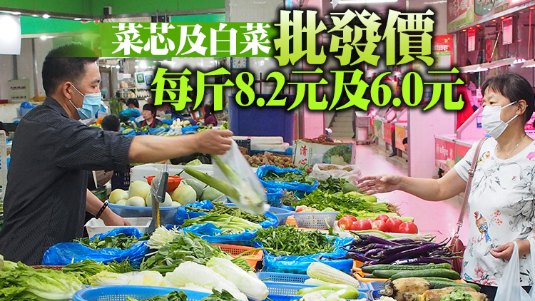 26日內地供港蔬菜逾2600公噸 鮮活食品供應充足穩定