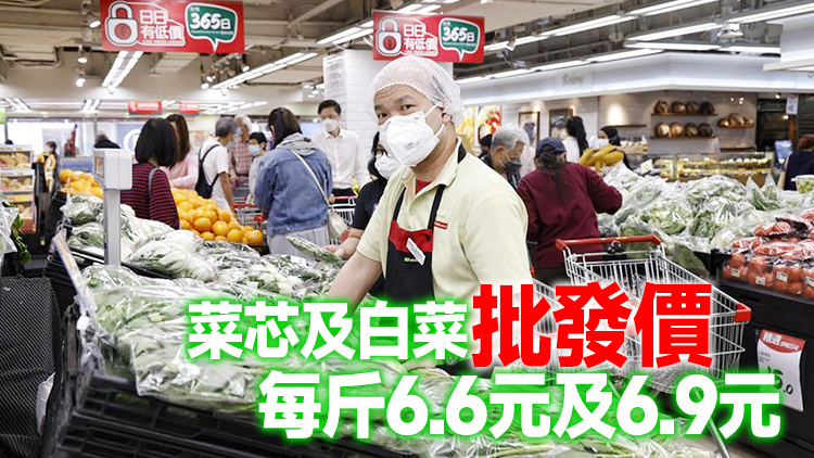 28日內地供港蔬菜2700公噸 鮮活食品供應充足穩定