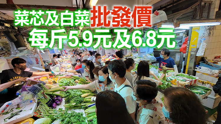 5日內地供港蔬菜逾2700公噸 鮮活食品供應充足穩定