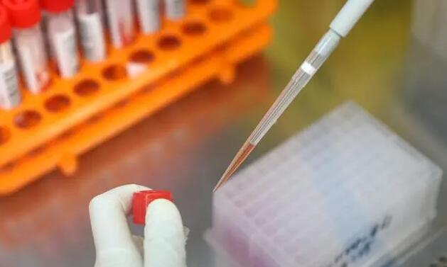 蔡英文辦公樓新增4宗新冠肺炎確診病例