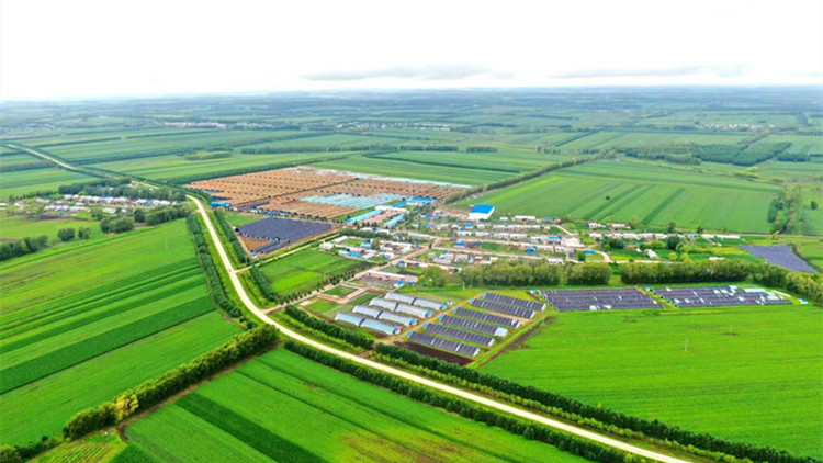 黑龍江拜泉：解放思想闖新路 振興發展譜新篇