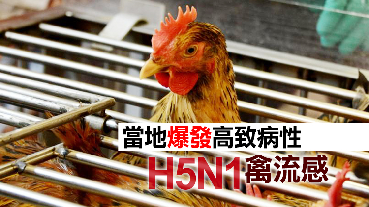 本港暫停進口西班牙安達盧西亞Huelva省禽肉及禽類產品