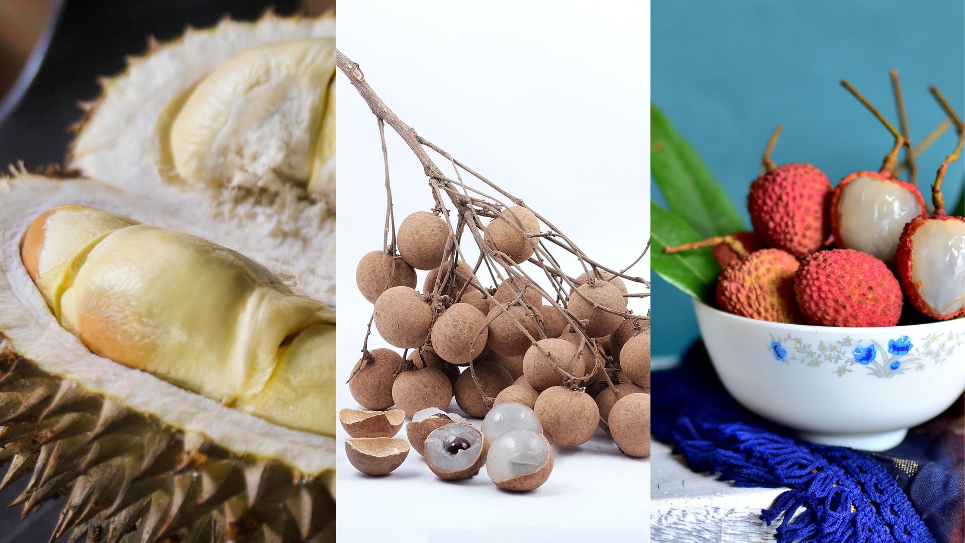 【健康】吃濕熱水果上火怎麼辦？