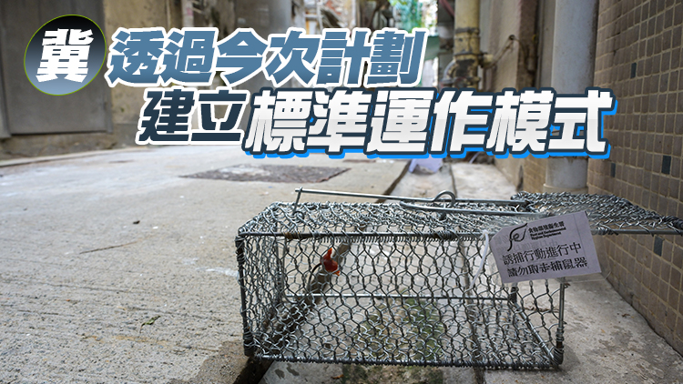 鄭泳舜關注打擊衞生黑點計劃能否持續 專家指各界配合才有效果