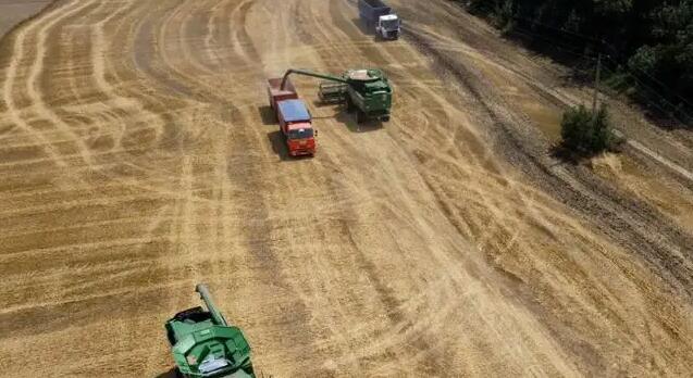 經濟日報：美貨幣政策是全球糧價大幅波動根本原因