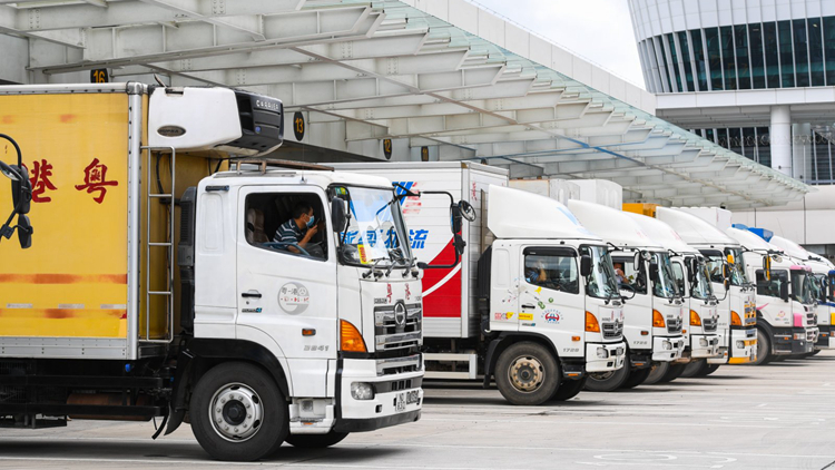 15日跨境司機檢測發現13宗初陽或不確定個案