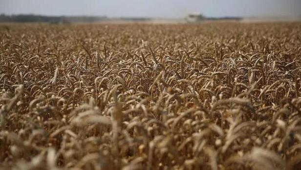 外媒：美國將斥資6800萬美元購買烏克蘭糧食