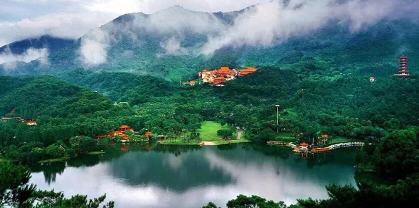 工作日免票！深圳仙湖植物園發布最新門票優惠公告