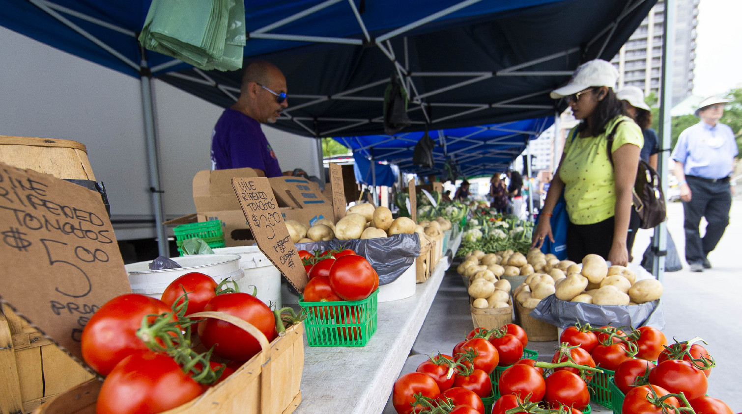加拿大數十名華人參加市政選舉