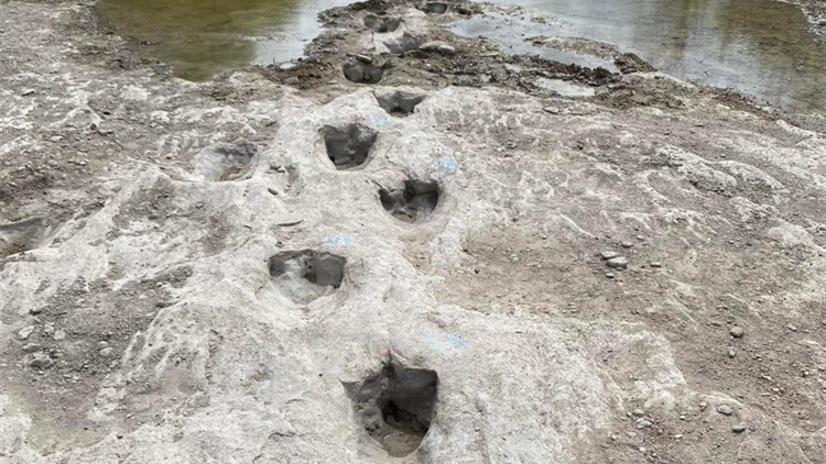 連日乾旱致美國得州1.13億年前恐龍足跡「重現天日」
