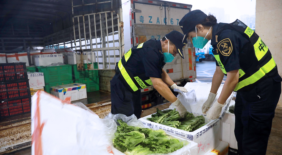 拱北海關戰「馬鞍」 守護供澳「菜籃子」