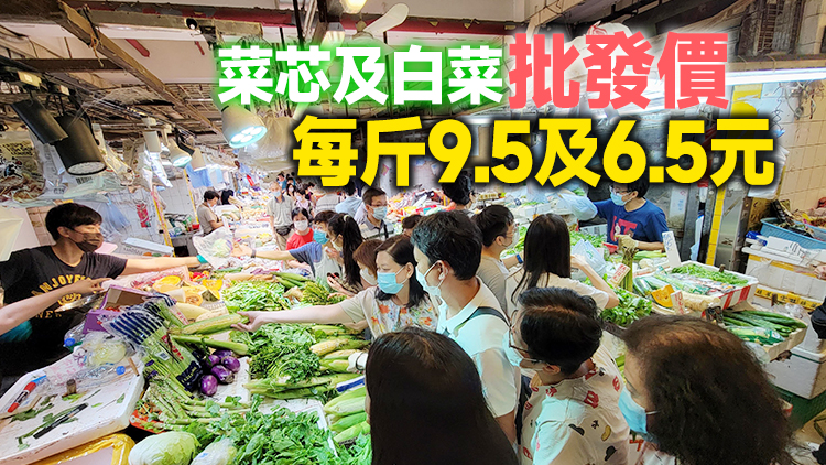 25日內地供港蔬菜逾2800公噸 鮮活食品供應充足穩定
