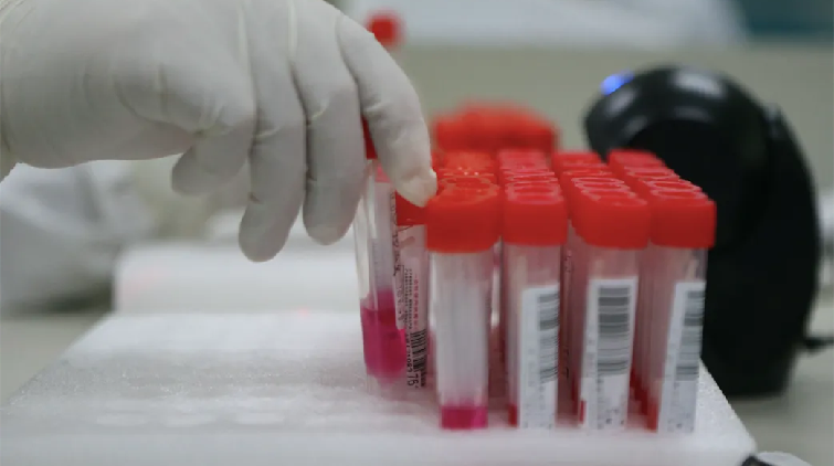 8月26日深圳在隔離密接人員中發現7例，在社區篩查中發現1例