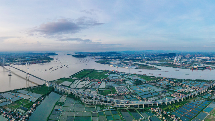 郭山輝：台商要在大灣區發展中發揮更重要作用