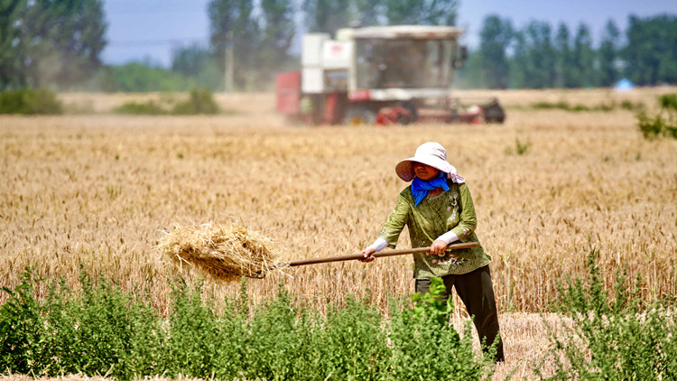 緩解價格上漲 中央財政再撥100億元農資補貼
