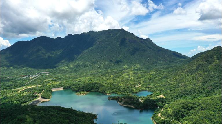 深圳大鵬生態文明建設再結碩果 調查發現多處國家保護動植物種群 打造生物多樣性保護的示範樣本