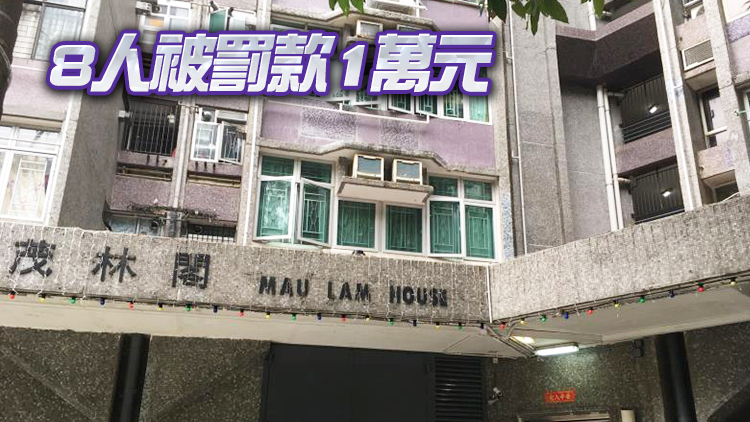 沙田廣林苑茂林閣廈11人違強檢公告 被發強制檢測令