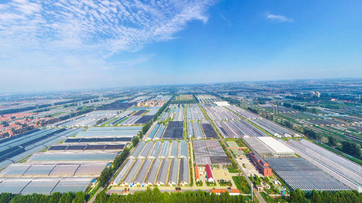 如何打造鄉村振興齊魯樣板？37個示範區給出「參考答案」