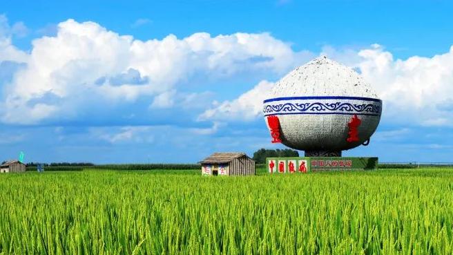 米香不怕巷子深，舒蘭大米美名揚