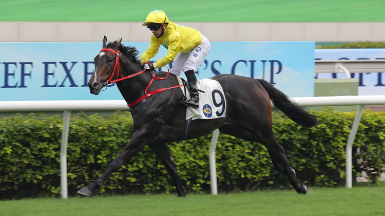 圖集 | 金鑽貴人捧走特首盃