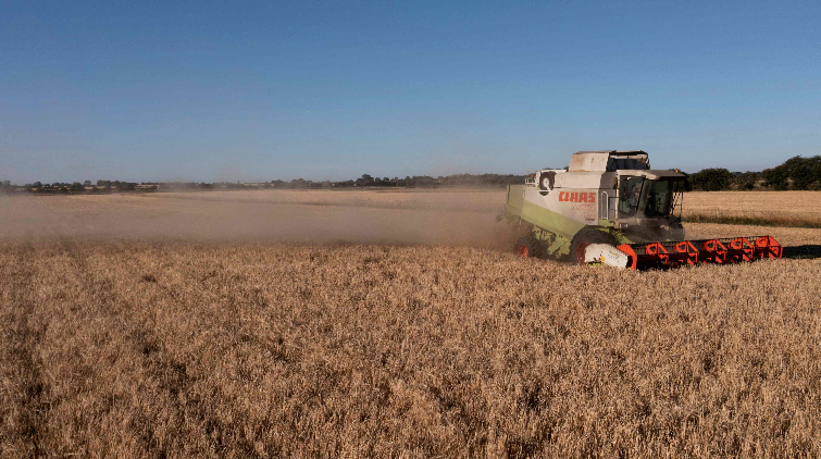 能源價格高企 歐洲多國農民和食品生產商被迫減產