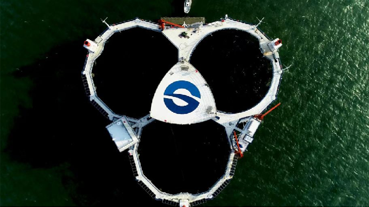 屢創紀錄，煙台「問海」多點開花